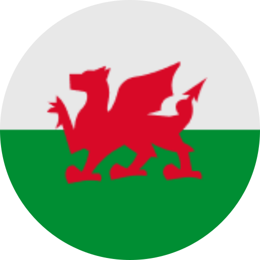 Welsh Flag